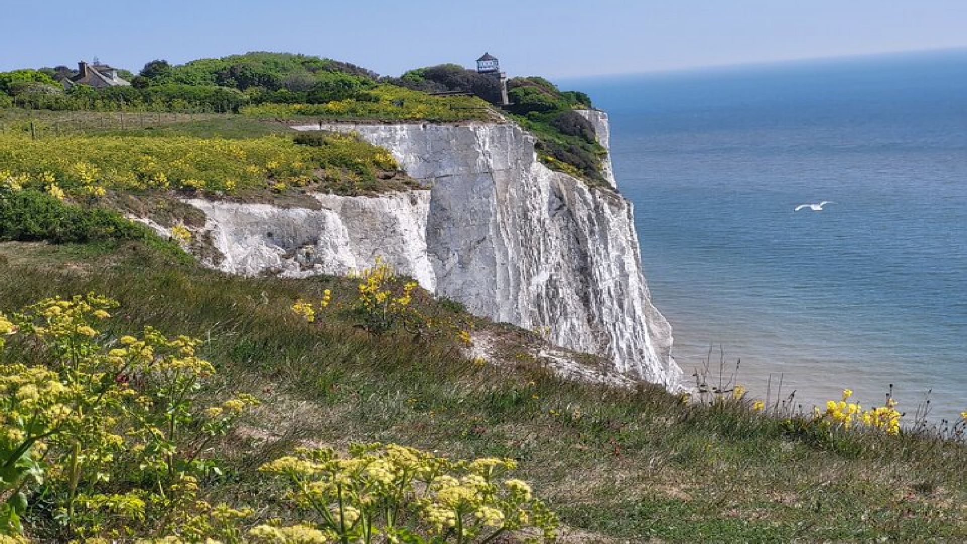 Battle of Britain Experience, White Cliffs of Dover & Canterbury