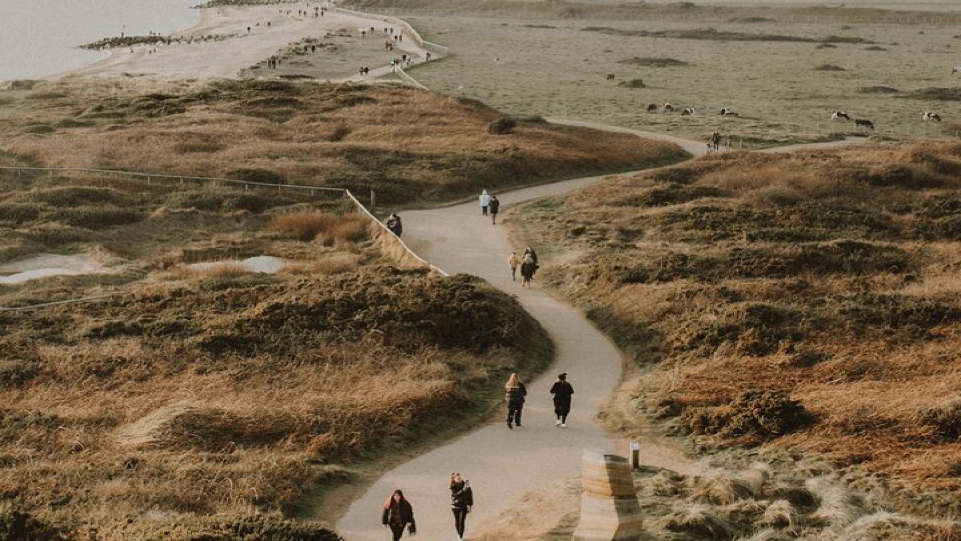 Bournemouth Tour App, Hidden Gems Game and Big Britain Quiz (1 Day Pass) UK