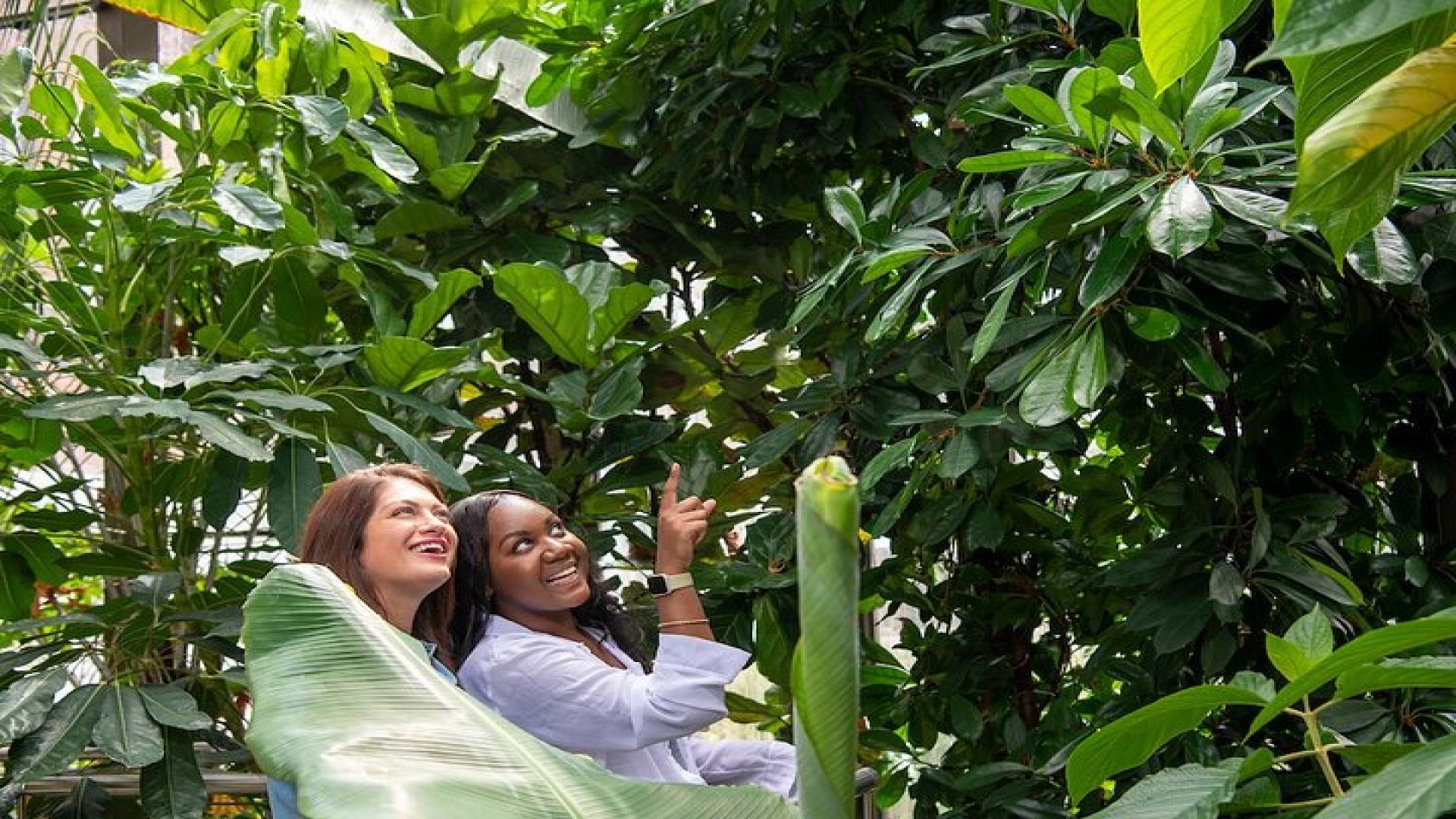 Bombay Sapphire Gin Distillery Tour and Cocktail