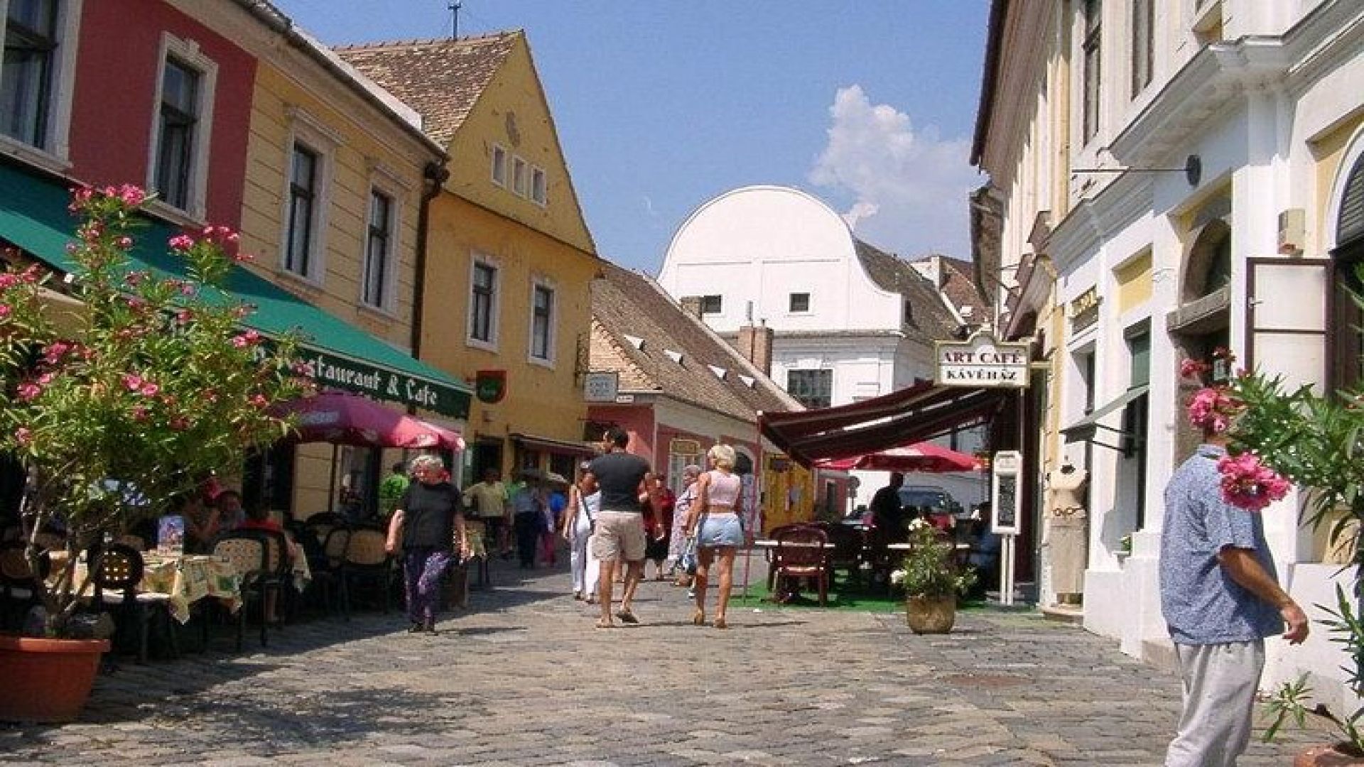 Visegrad Castle and Szentendre by the Danube private tour