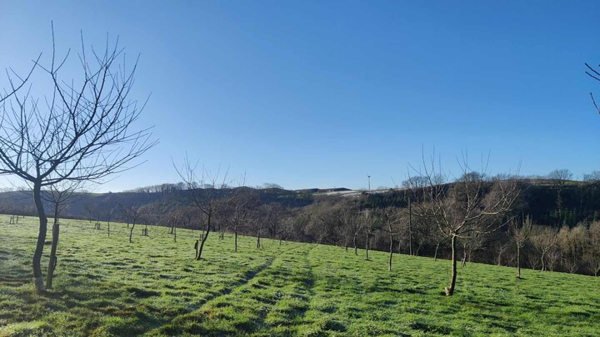 Cider Orchard and Vineyard Tour