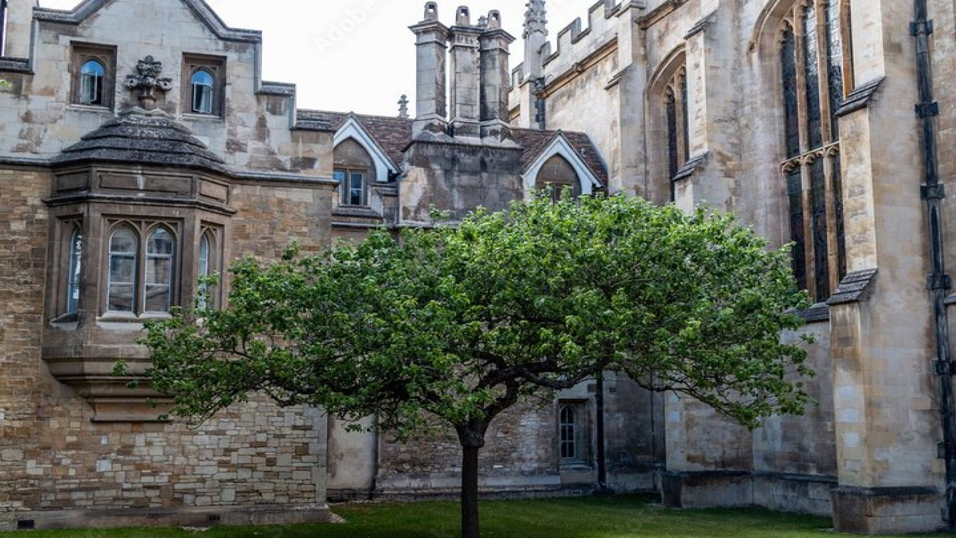 City of Cambridge Private Day Tour 