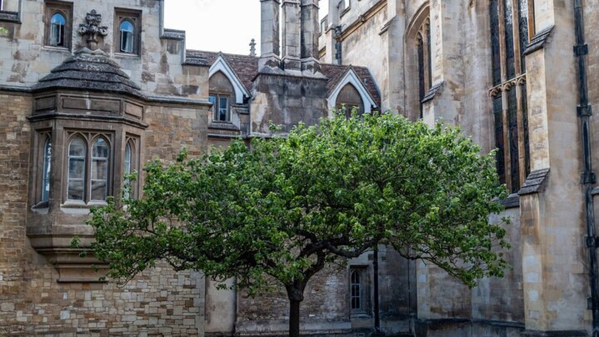 City of Cambridge Private Day Tour 