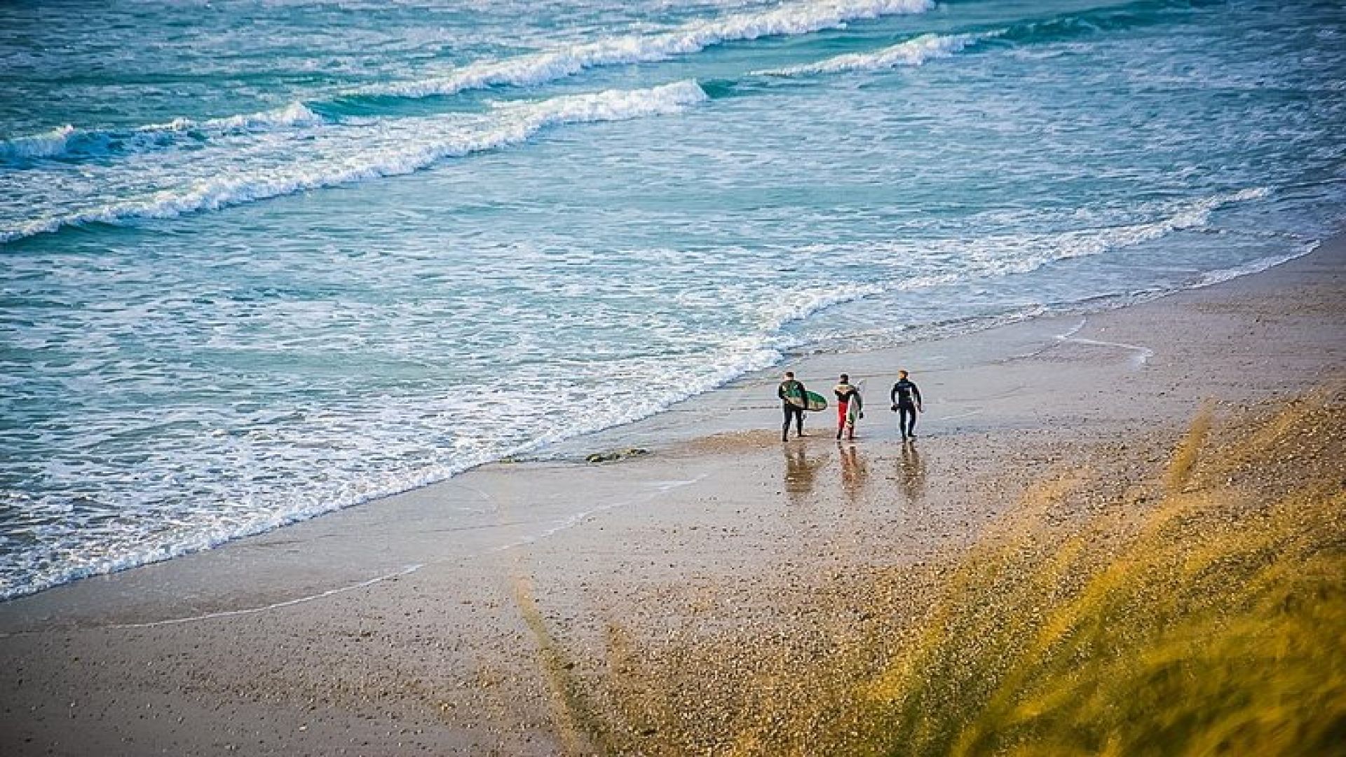 Daily Beginner Surf Hire