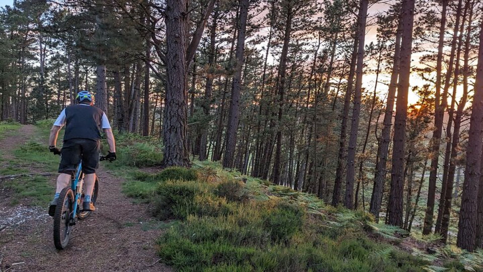 E-Bike excursions from Wareham, Dorset