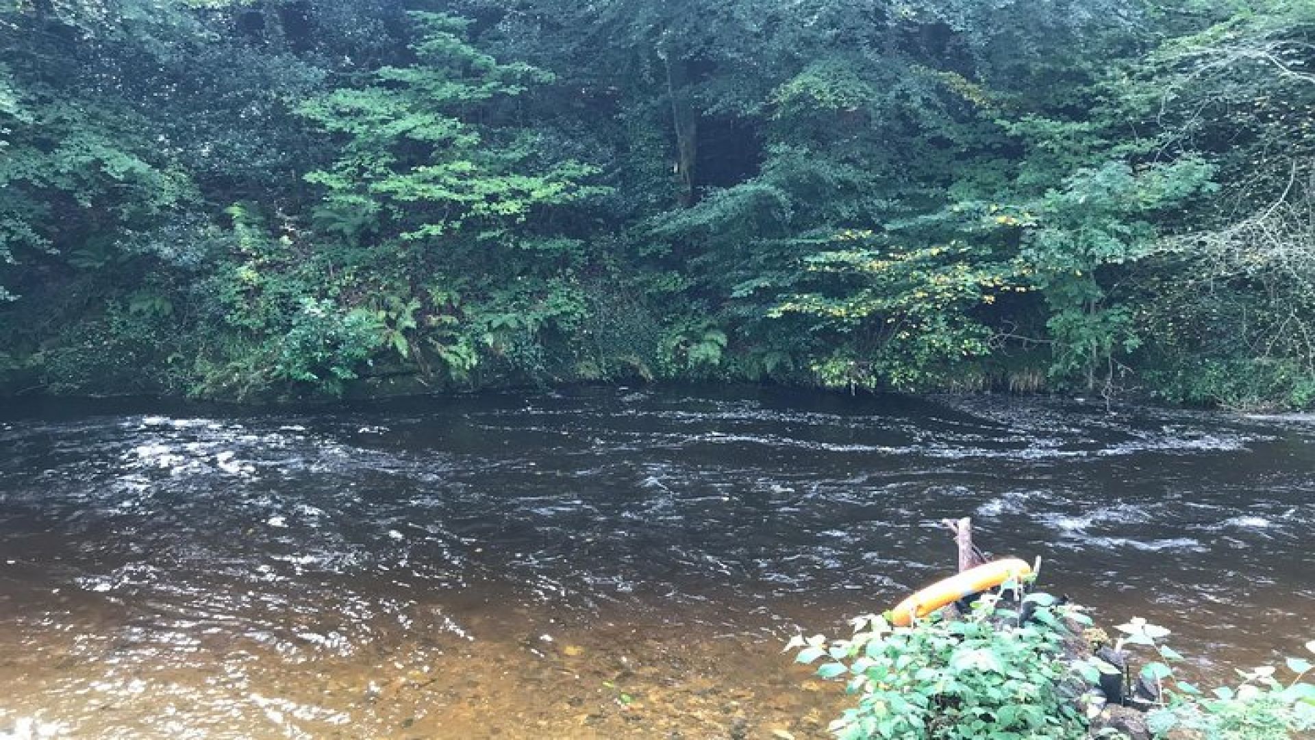 Forest Wood Fired Sauna & Cold Water River Swim