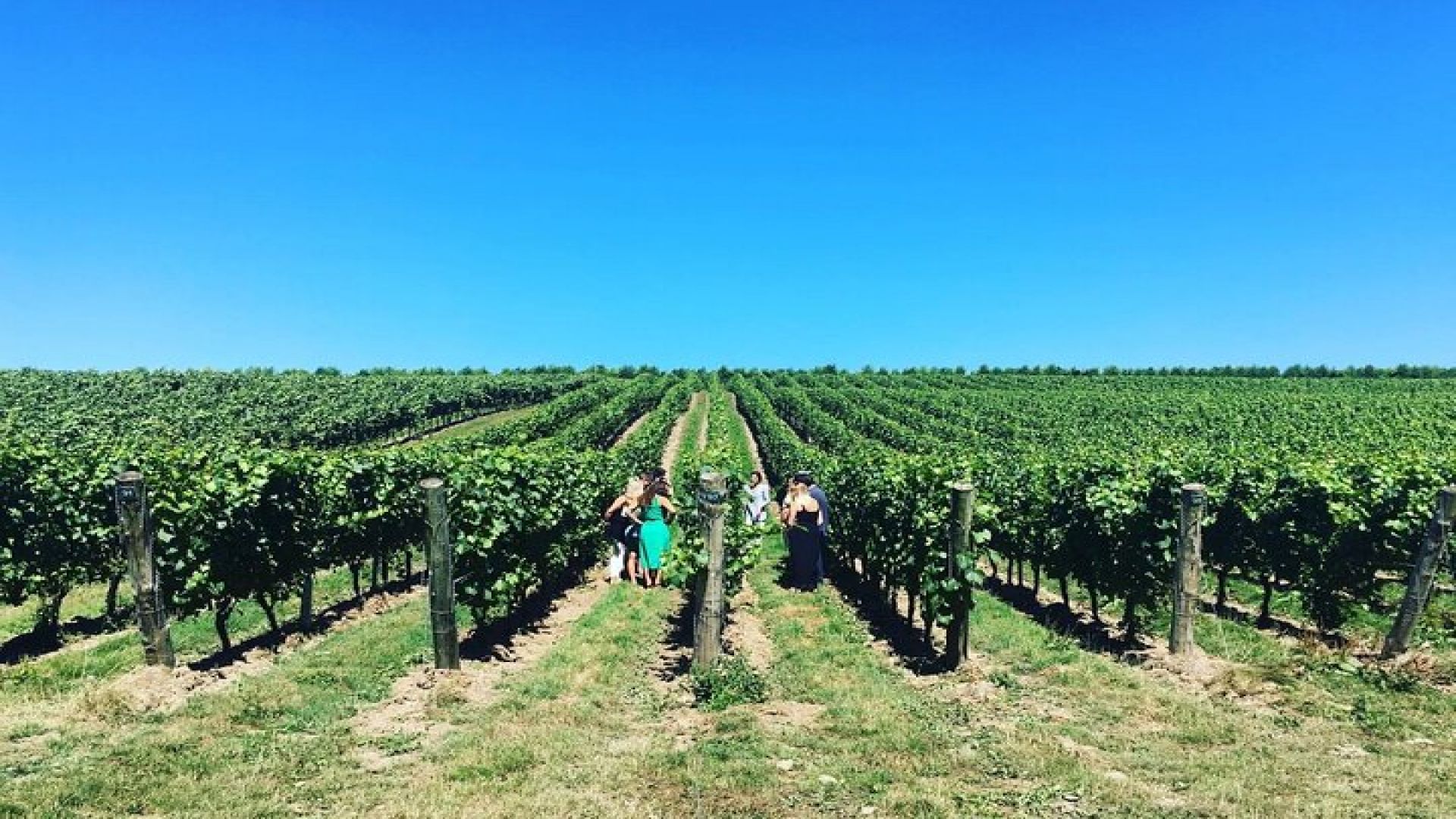 Full-Day Vintage Bus Wine Tour of Sussex from London