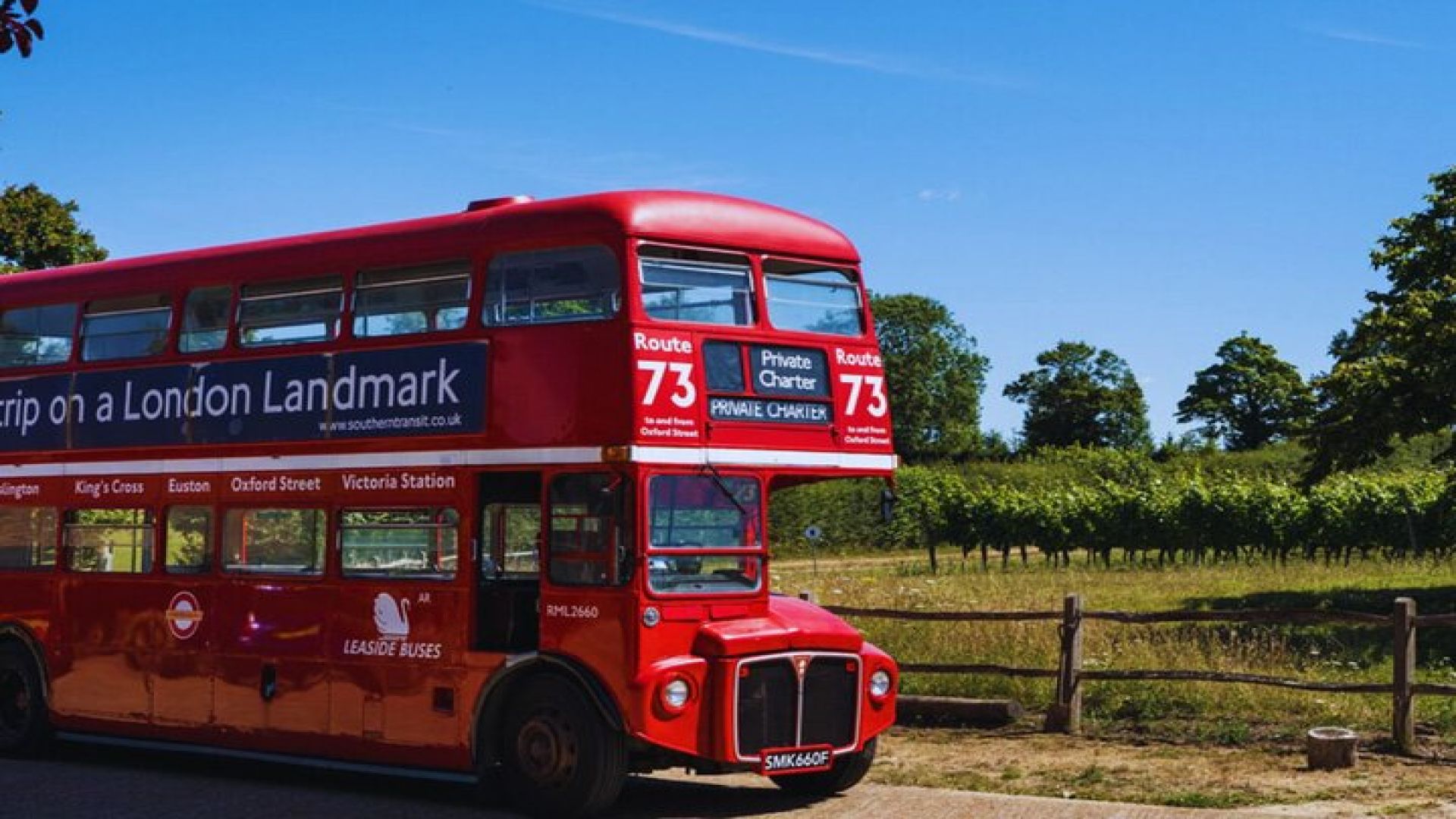 Sussex Vineyard & Winery Bus Tour on Iconic Vintage London Bus