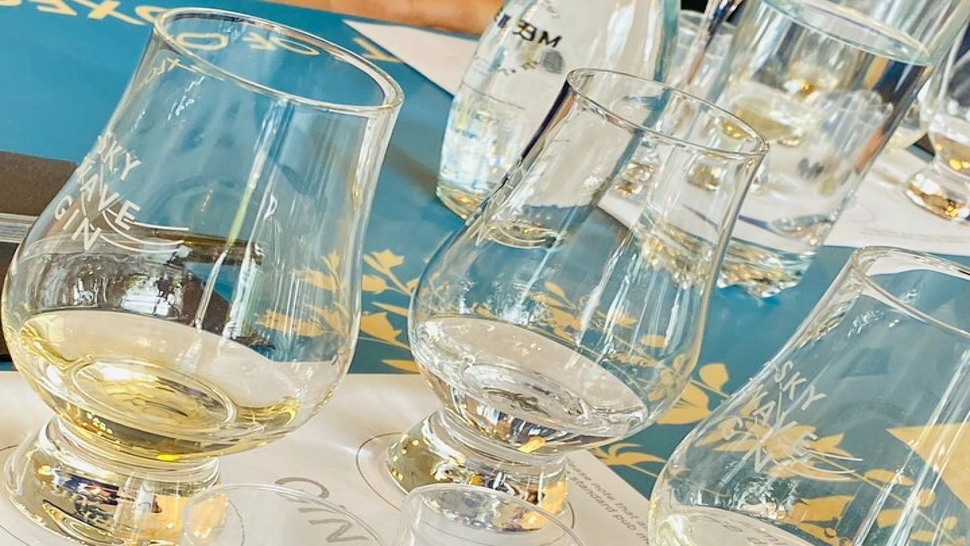 Gin Distillery Experience with Sky Wave Gin