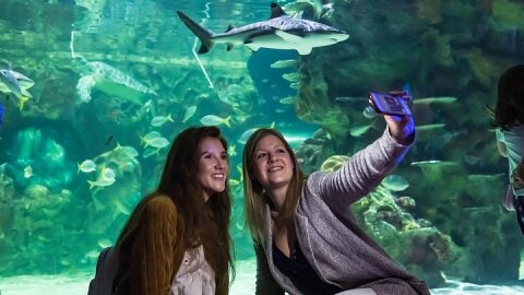 SEA LIFE Brighton Admission Ticket