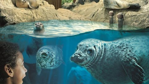 Hunstanton SEA LIFE Sanctuary General Admission Ticket