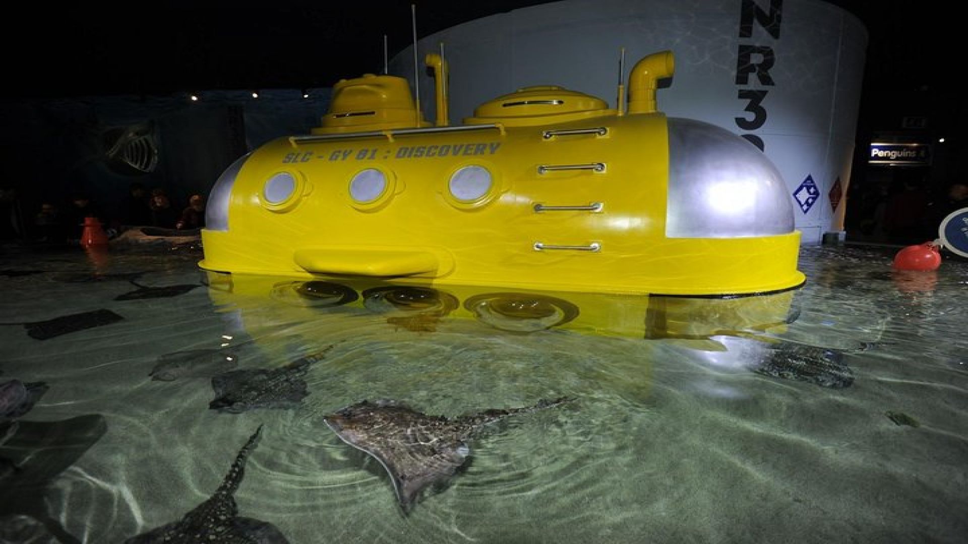 SEA LIFE Great Yarmouth General Admission