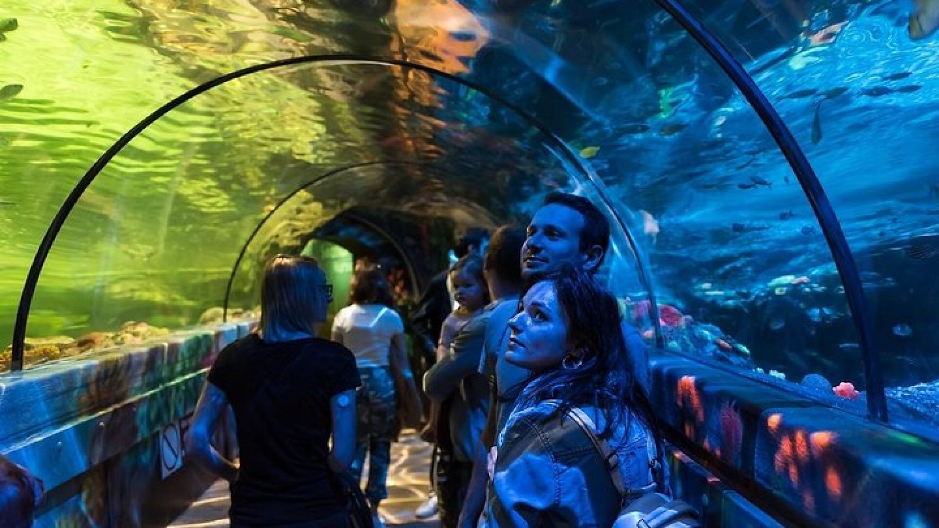 SEA LIFE Brighton Admission Ticket