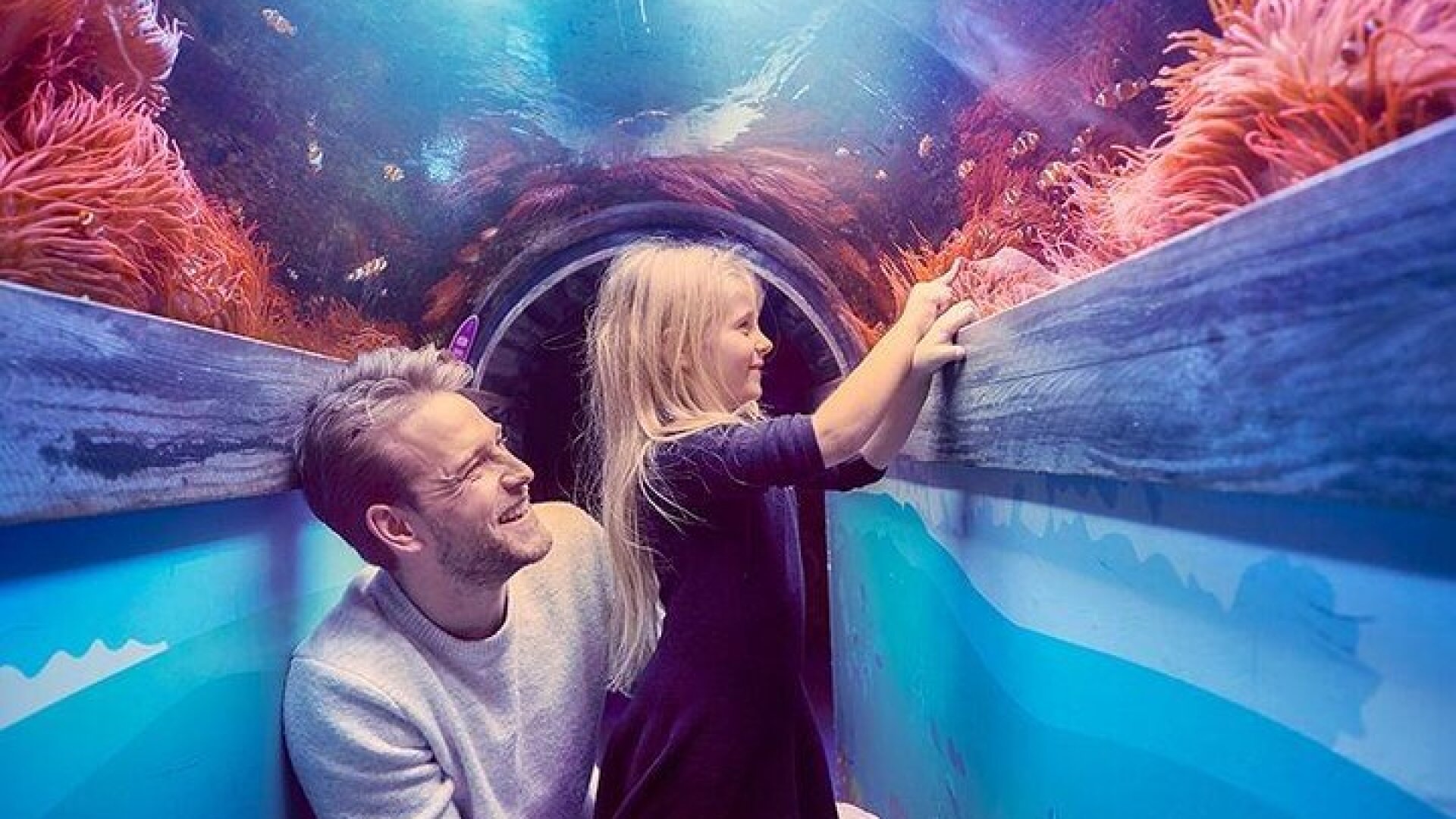 SEA LIFE Brighton Admission Ticket