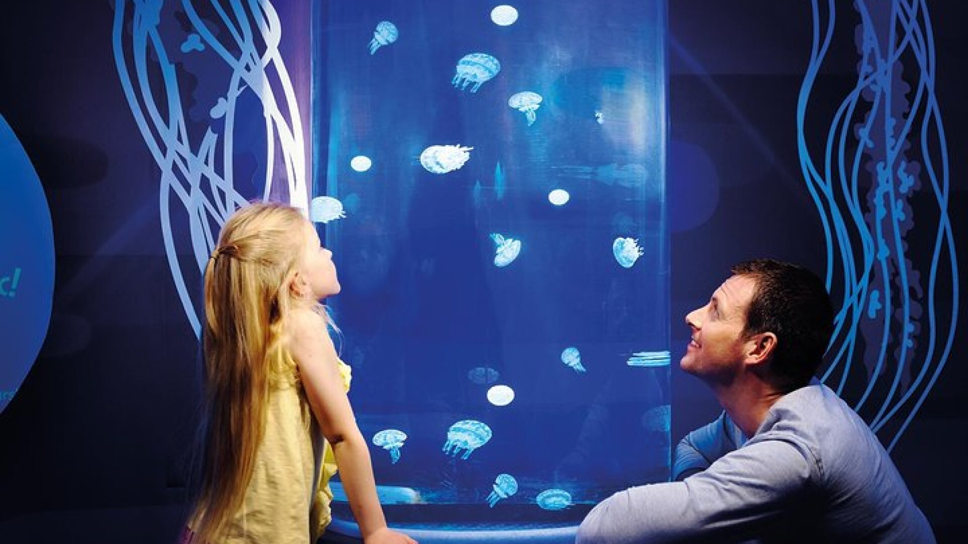 SEA LIFE Great Yarmouth General Admission