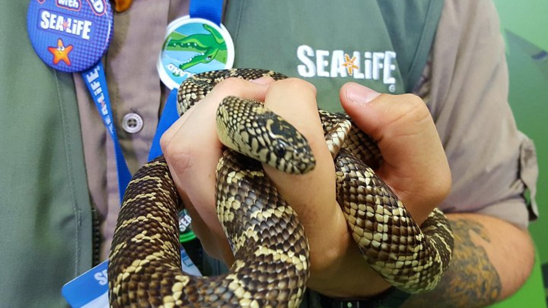 Hunstanton SEA LIFE Sanctuary General Admission Ticket