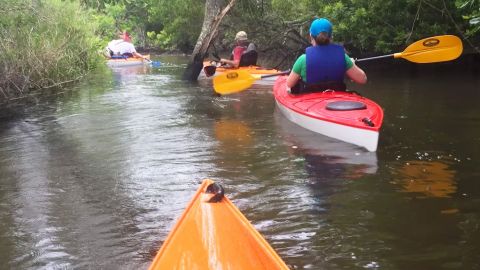 Delivery Kayak and SUP Rentals