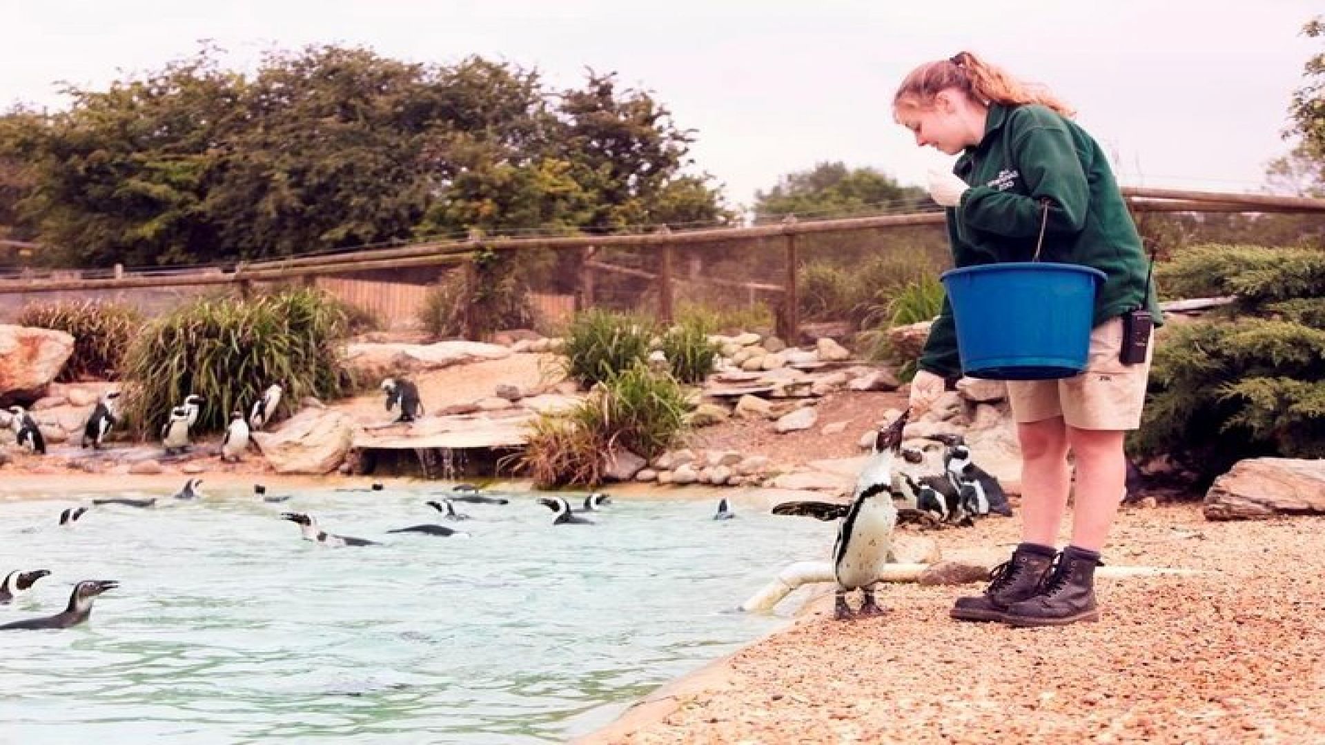 Whipsnade Zoo Entry Ticket 