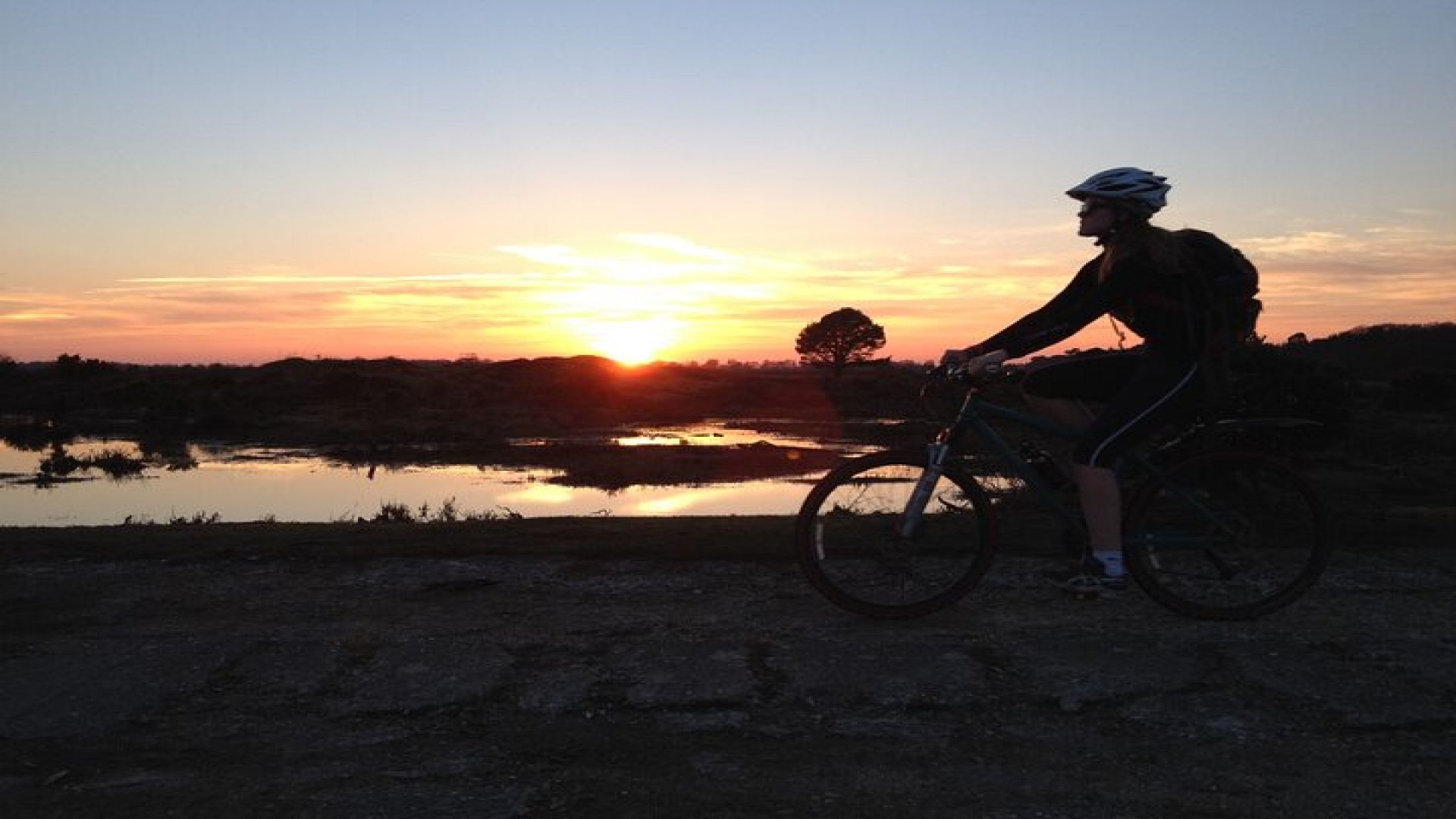 New Forest Sunset Bike Rides
