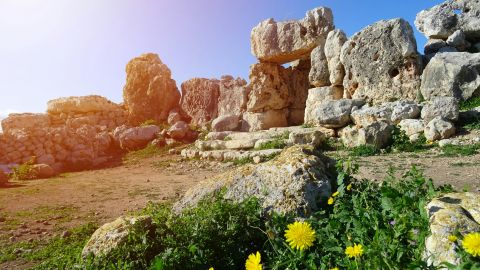 Malta Prehistoric Temples Tour