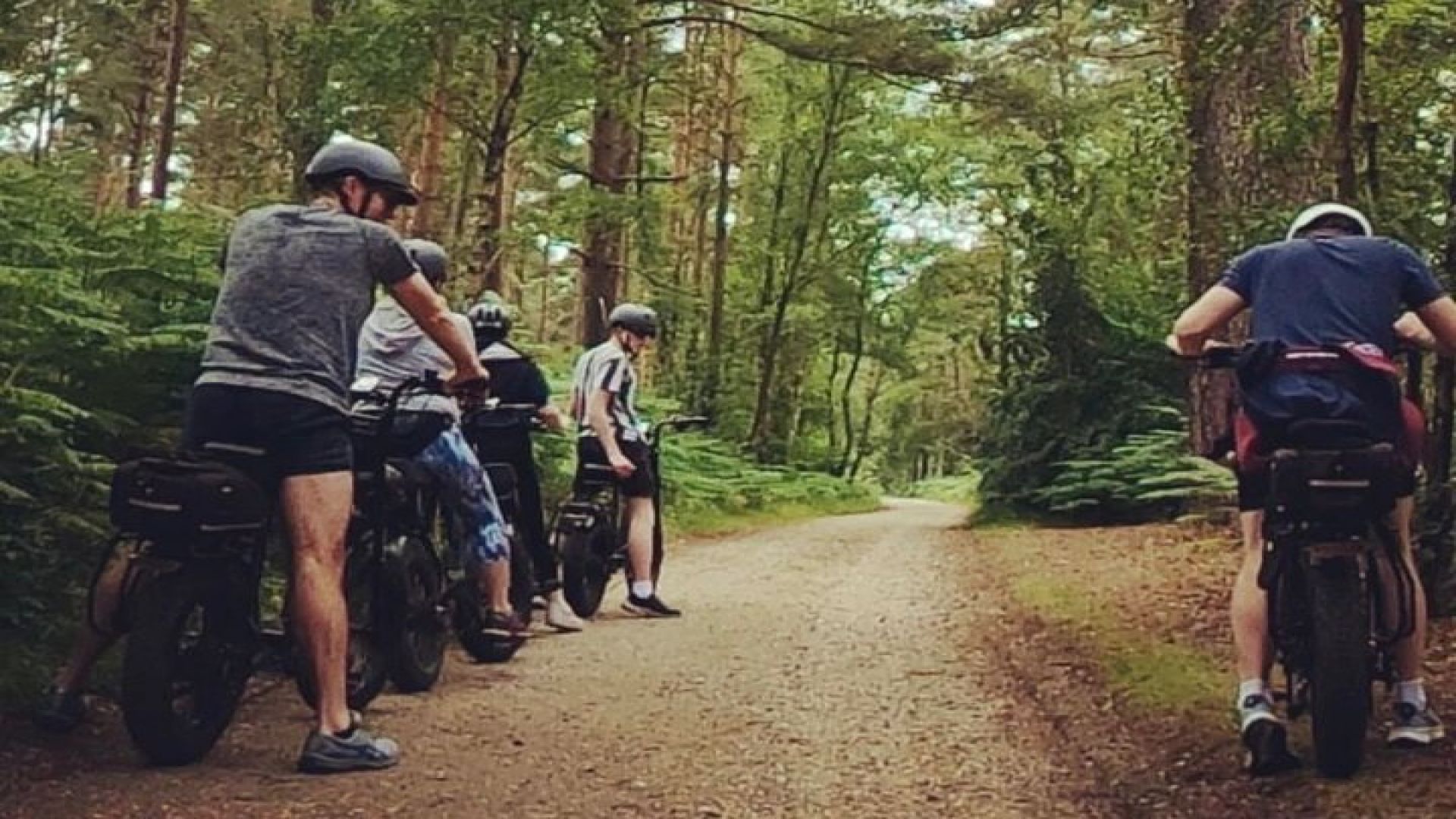 E-Bike Hire Experience exploring the New Forest 