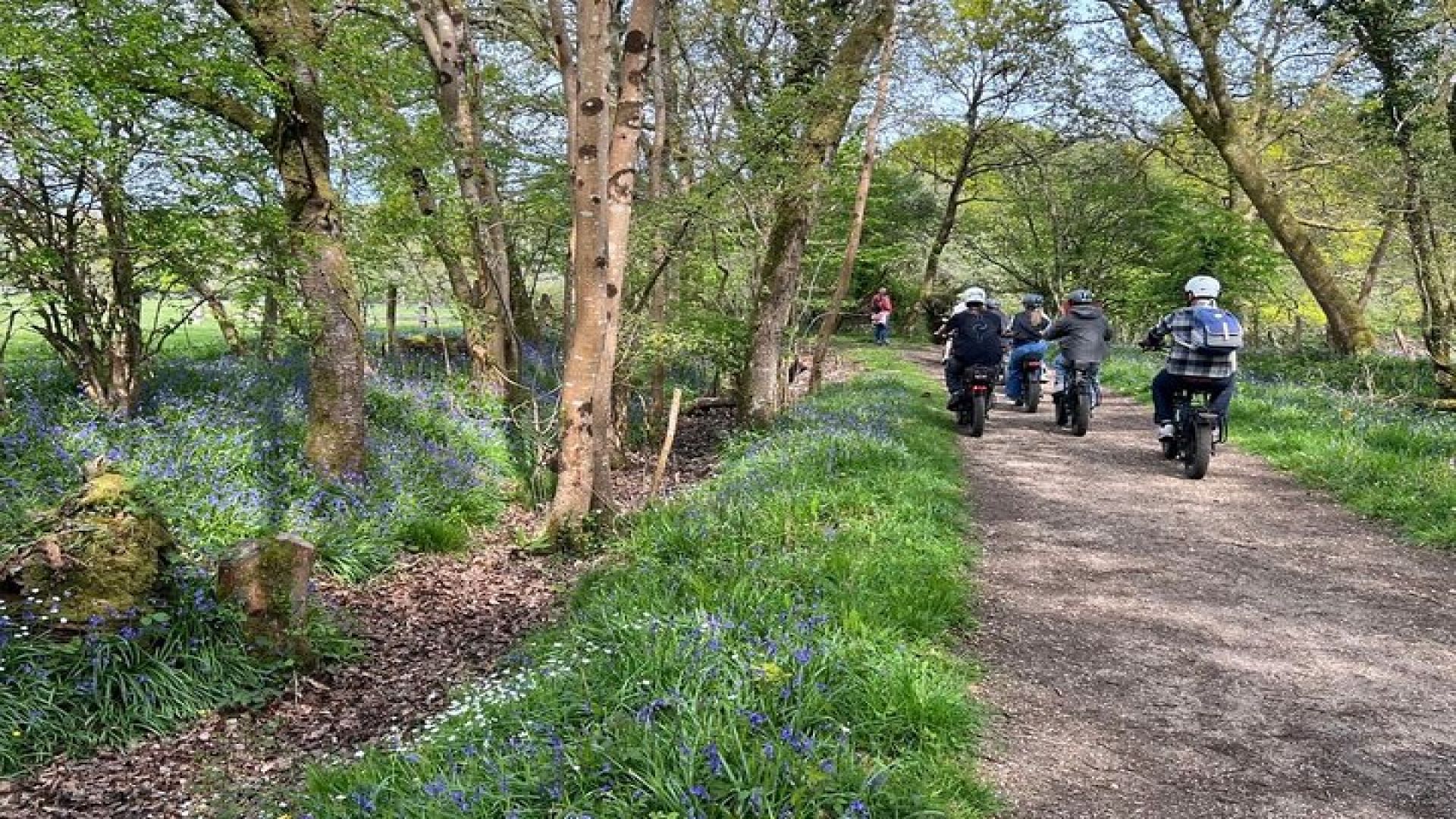 E-Bike Hire Experience exploring the New Forest 