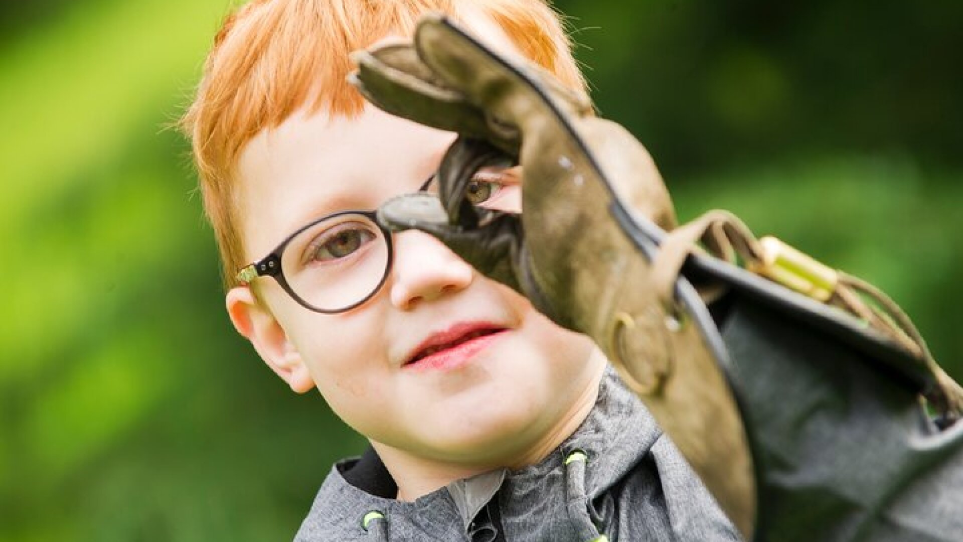Private Family Bird of Prey Experience in Carlisle