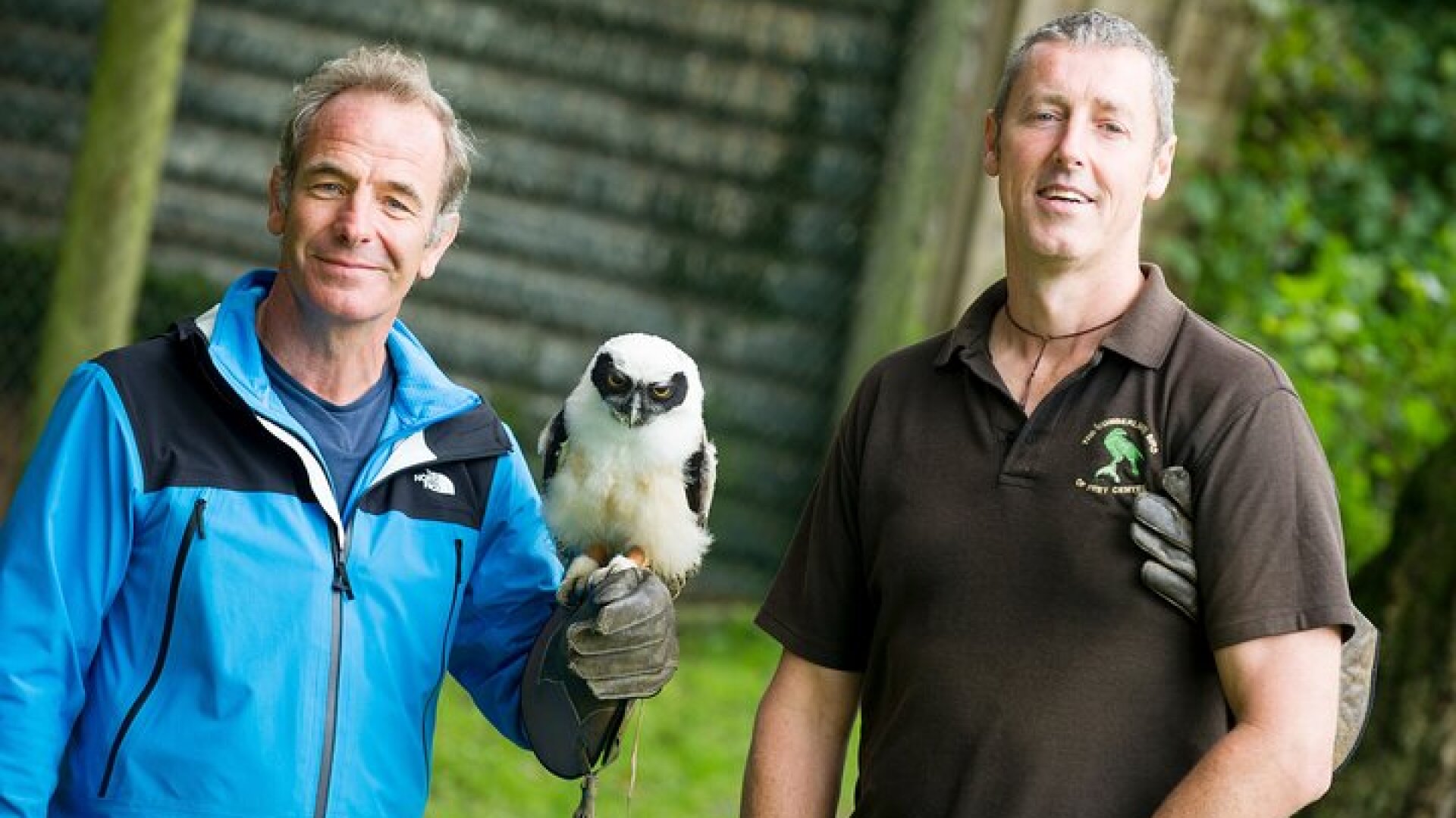 Private Family Bird of Prey Experience in Carlisle