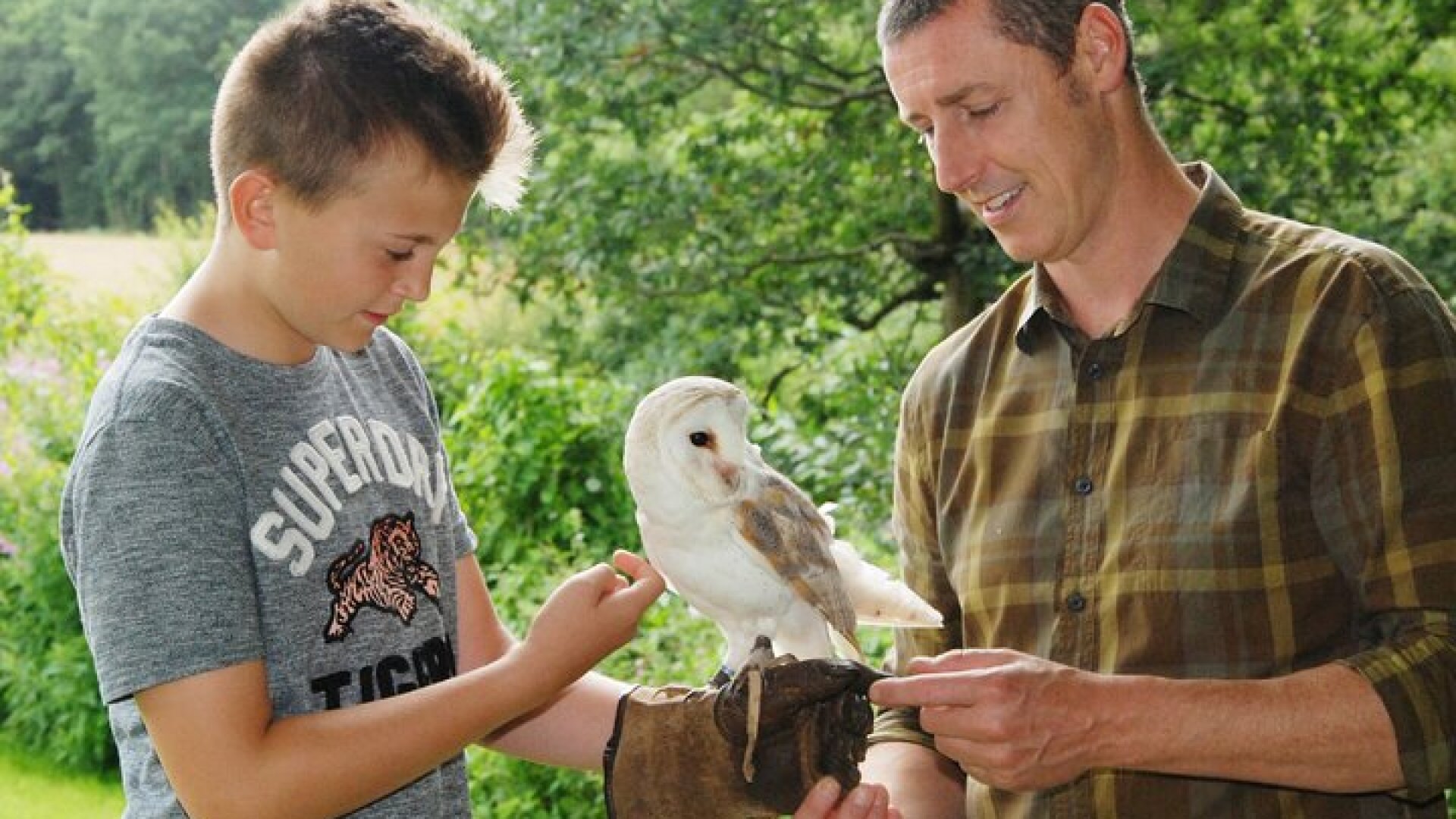 Private Family Bird of Prey Experience in Carlisle