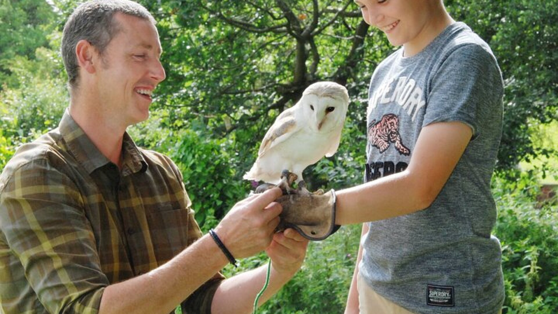 Private Family Bird of Prey Experience in Carlisle