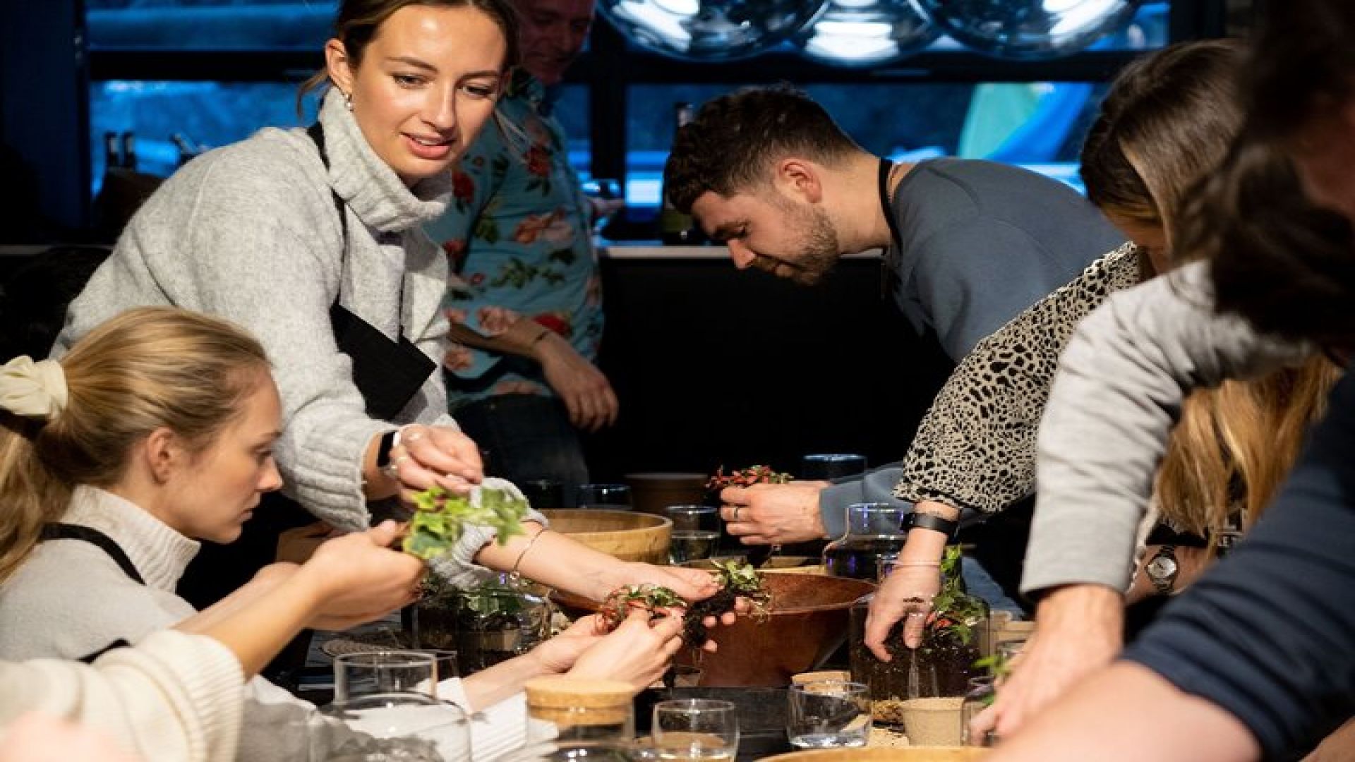 Terrarium Masterclass Experience in London