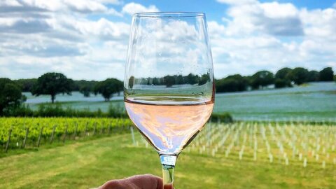 Wine Tours of Kent Private group booking