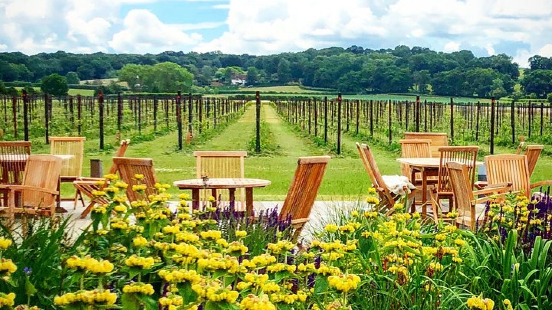 Wine Tours of Kent Private group booking