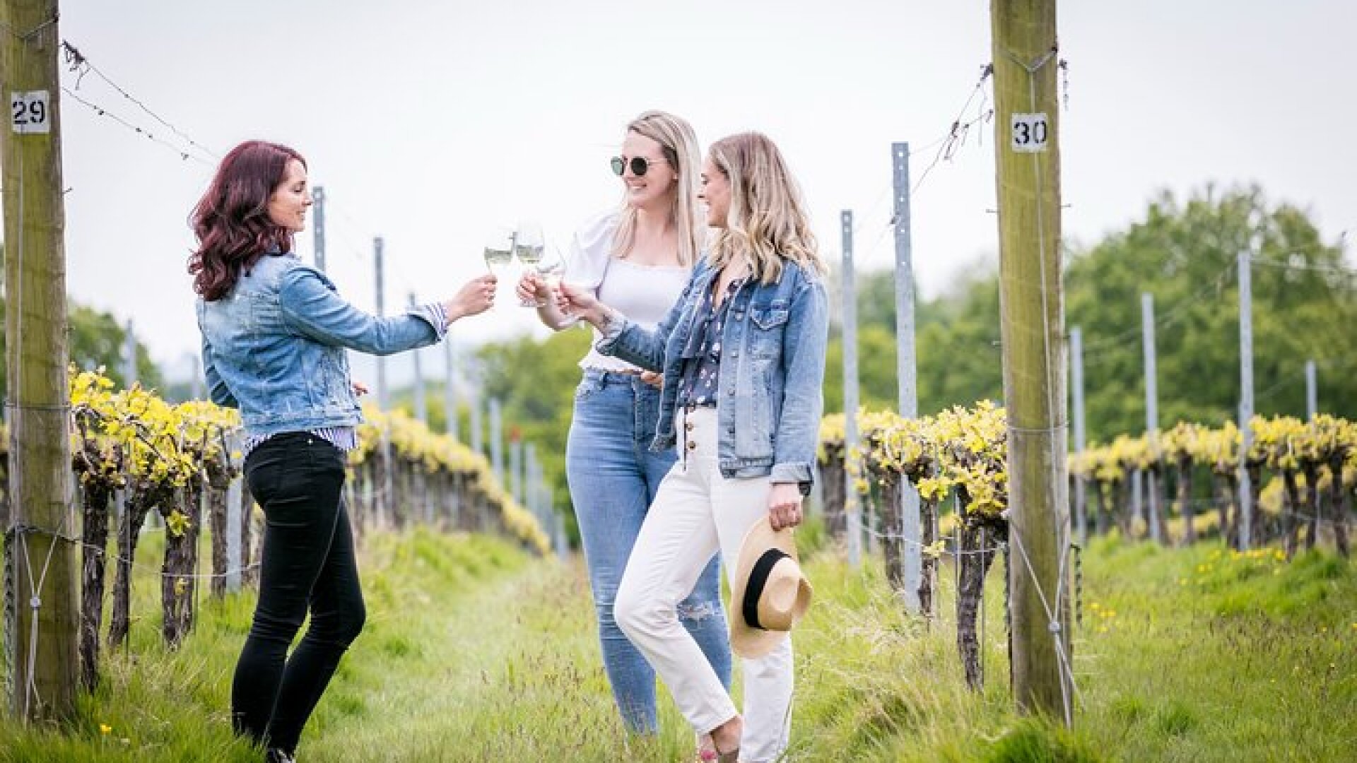 Wine Tours of Kent Private group booking