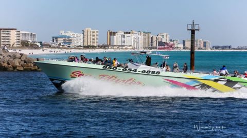 Sea Blaster Daytime Dolphin Cruise