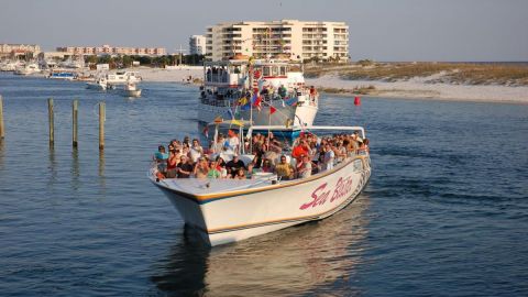 Sea Blaster Sunset Dolphin Cruise