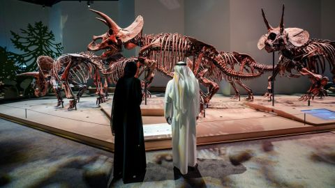 Natural History Museum Abu Dhabi - General Admission (Open Dated)