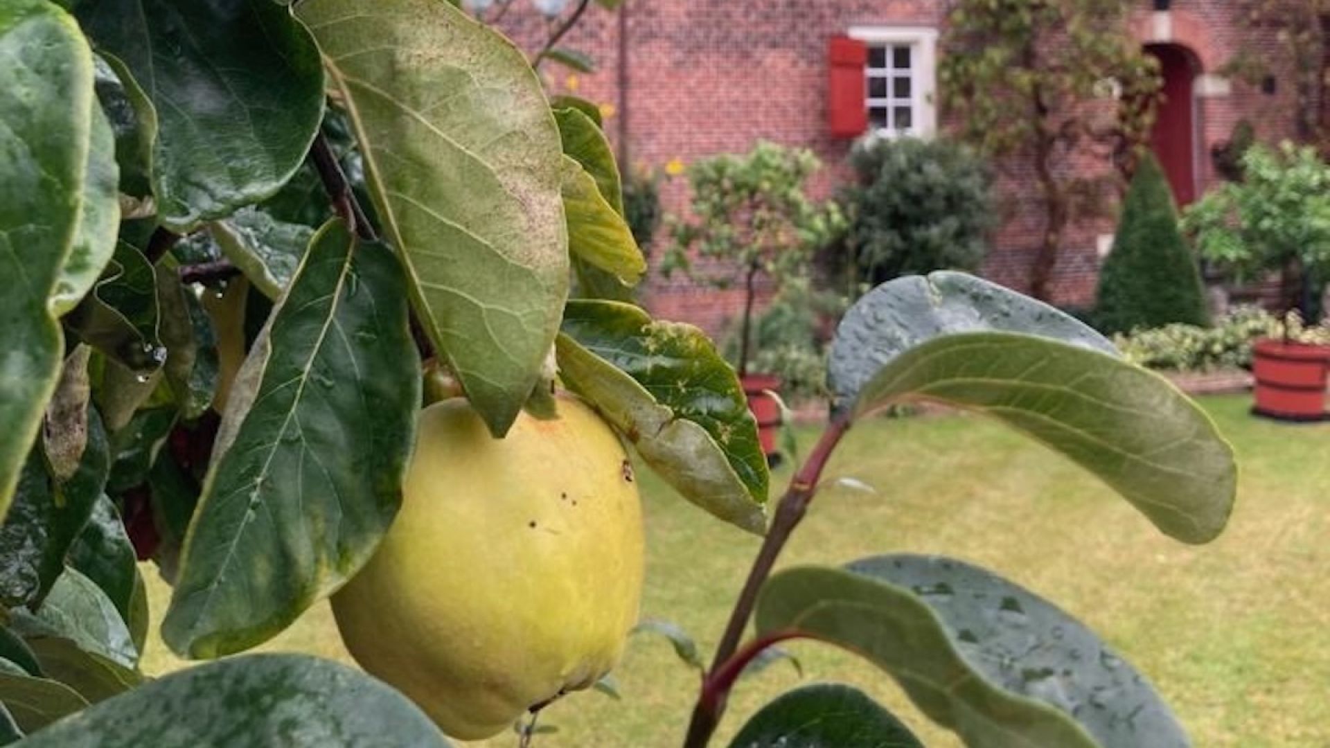 Hike & Bite – Den Haag Wandelende Food Tour (Nederlandssprekende gids)