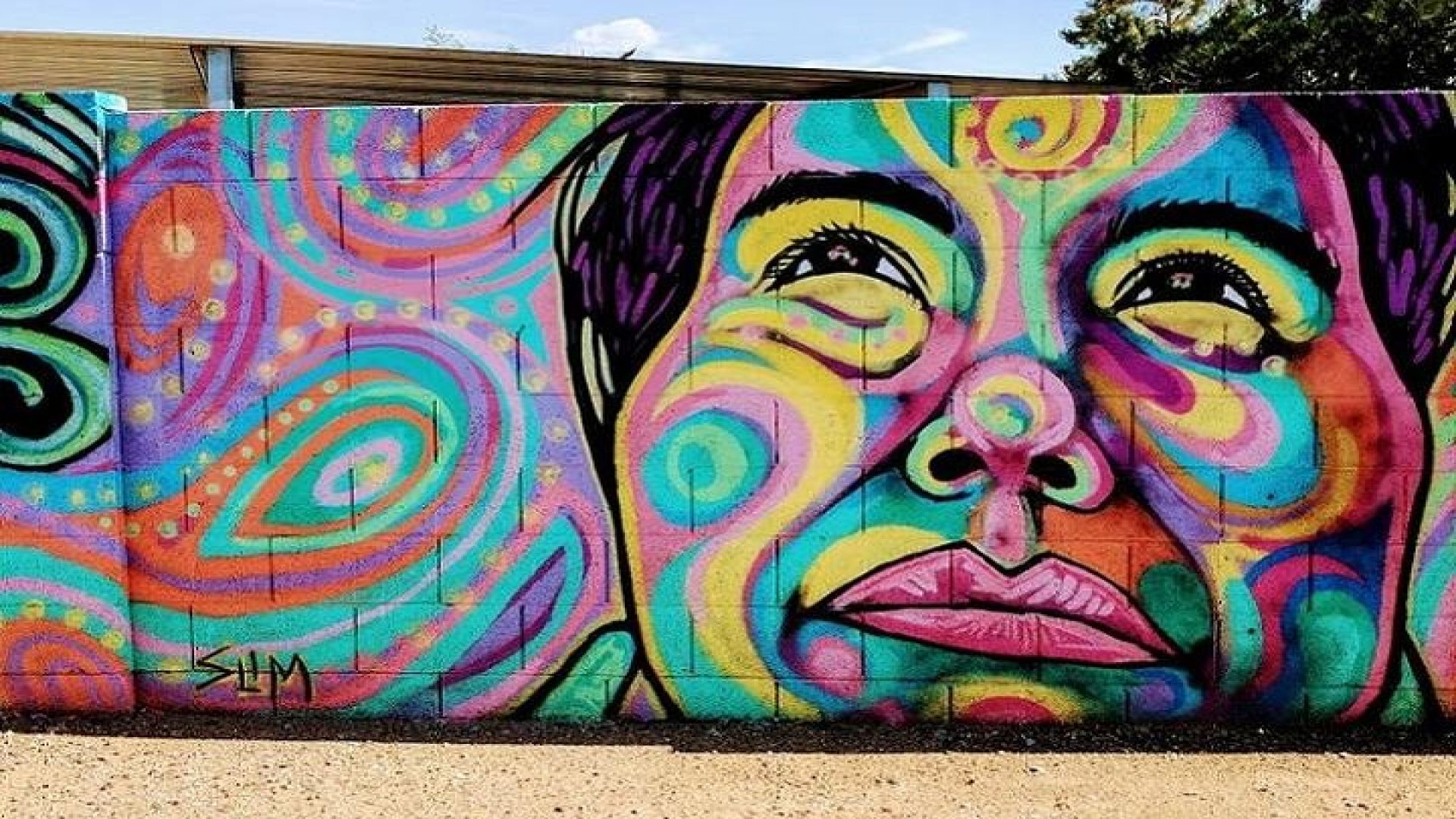 RoRo Street Art Tour in Phoenix