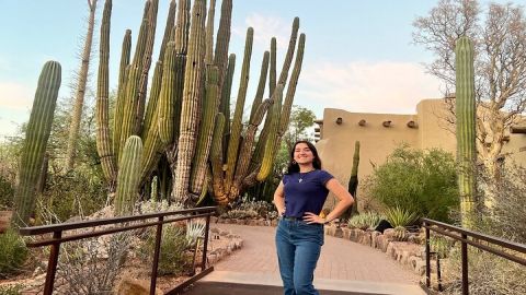 Desert Botanical Garden: Peaceful Morning or Sunset Walking Tour.