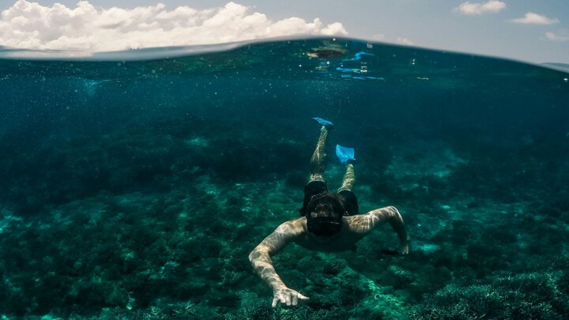 Mykonos Delos Rhenia Daily Cruise with BBQ, Drinks & Transfer