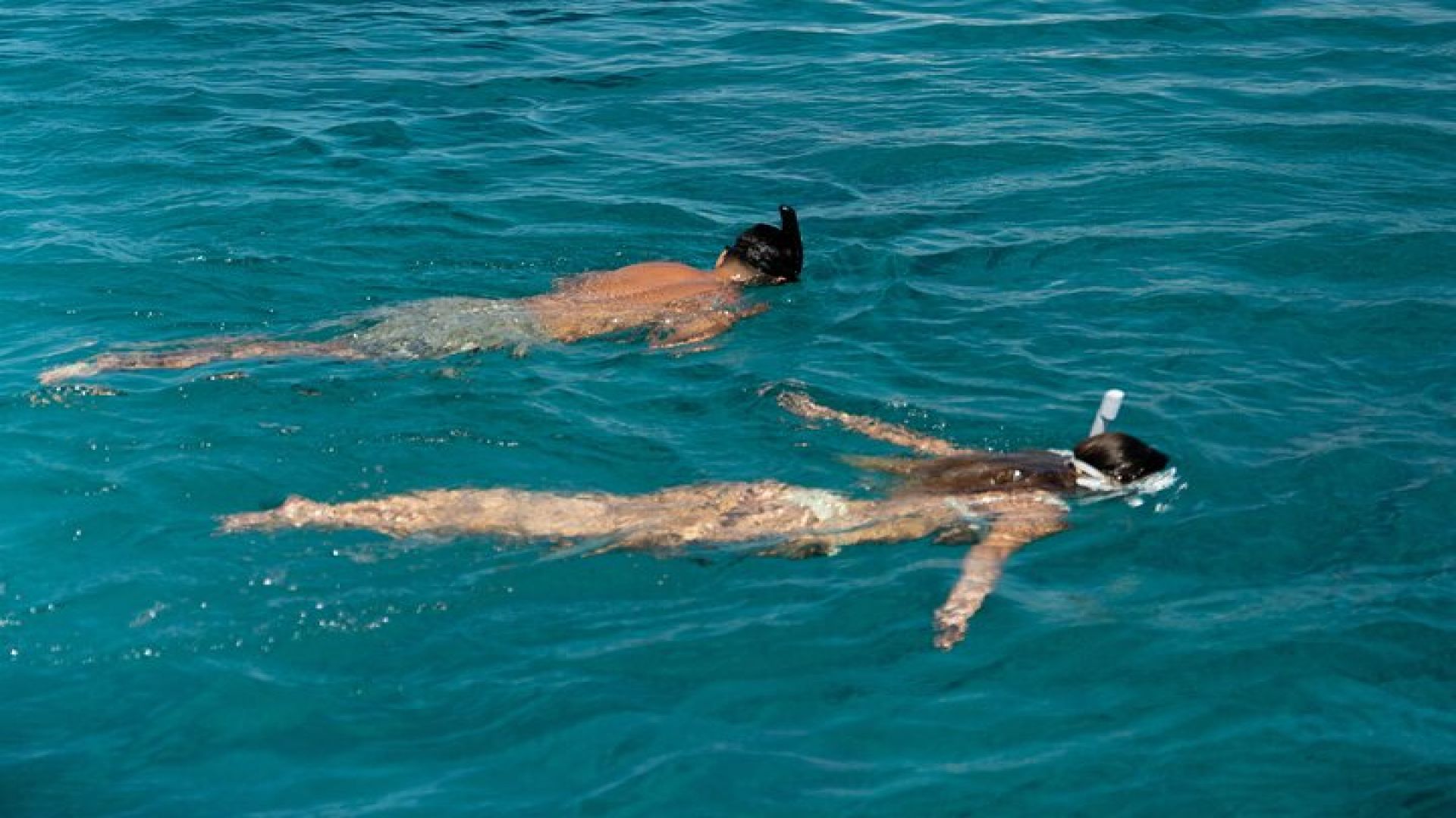 Mykonos: Brand-New Catamaran Cruise with Meal, Drinks & Transport