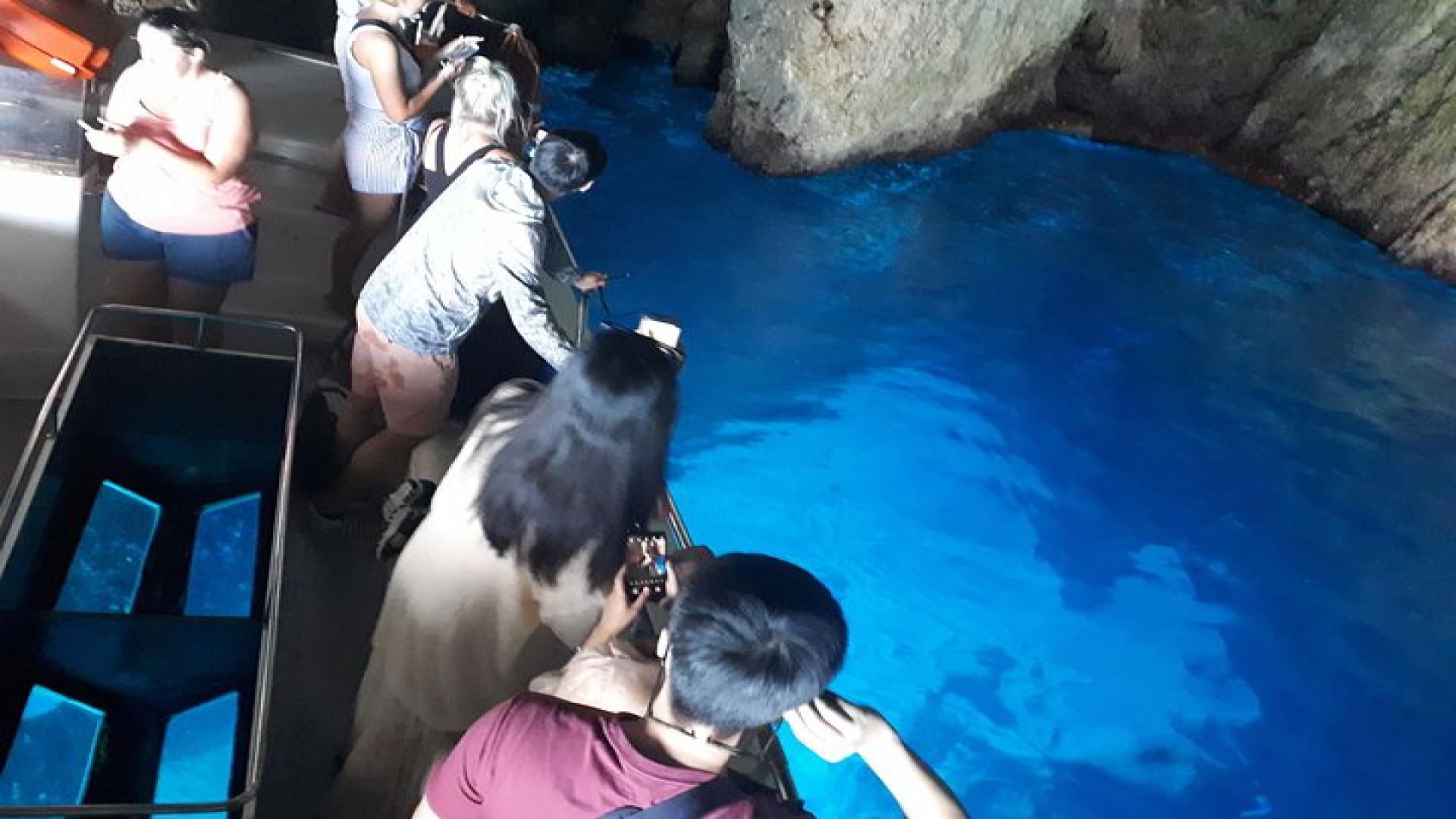 Zakynthos : One day small group tour to Navagio beach Blue Caves & top view 