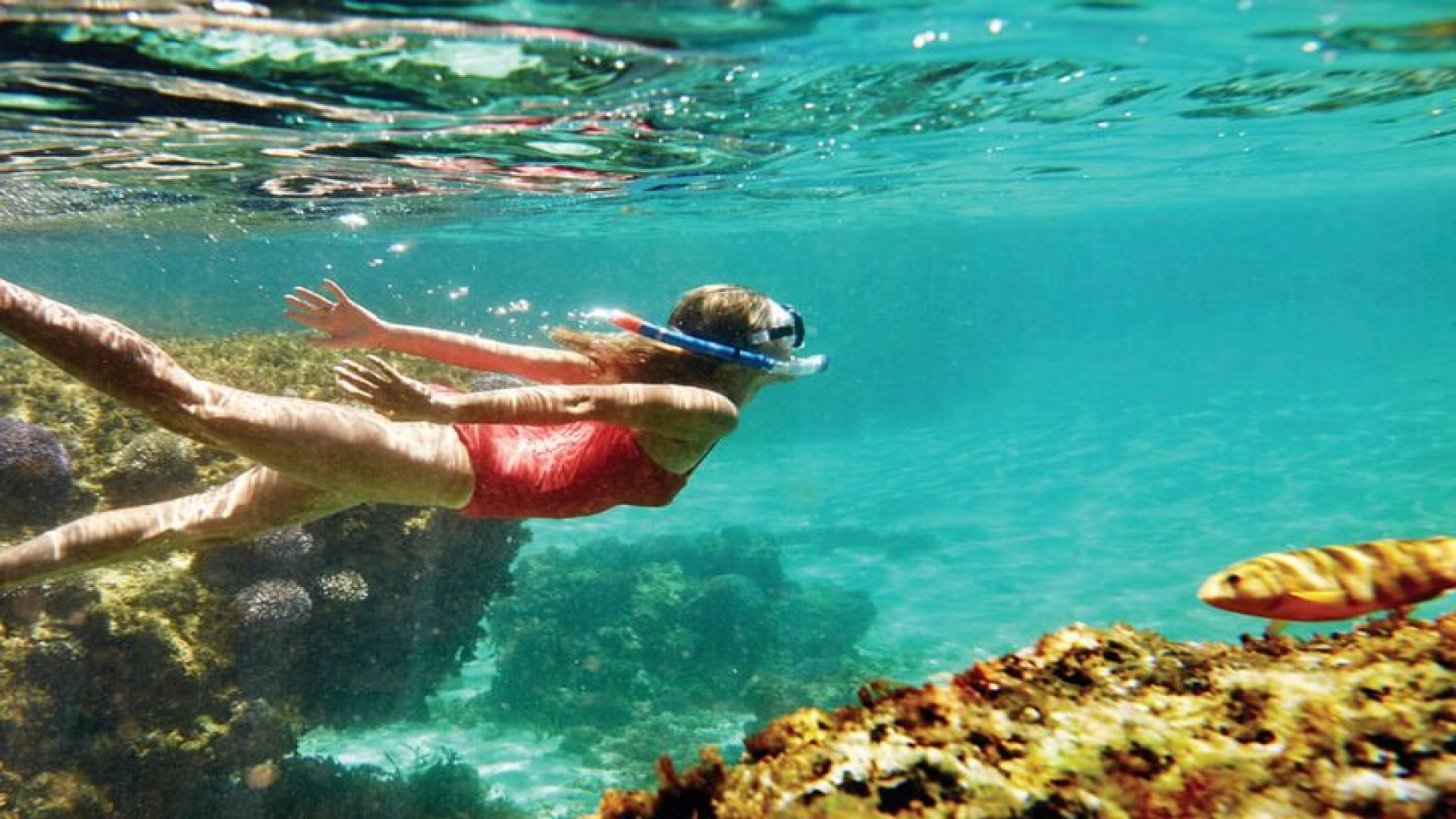 Rhodes Exclusive Swim Cruise Cocktail Open bar & Gourmet Buffet