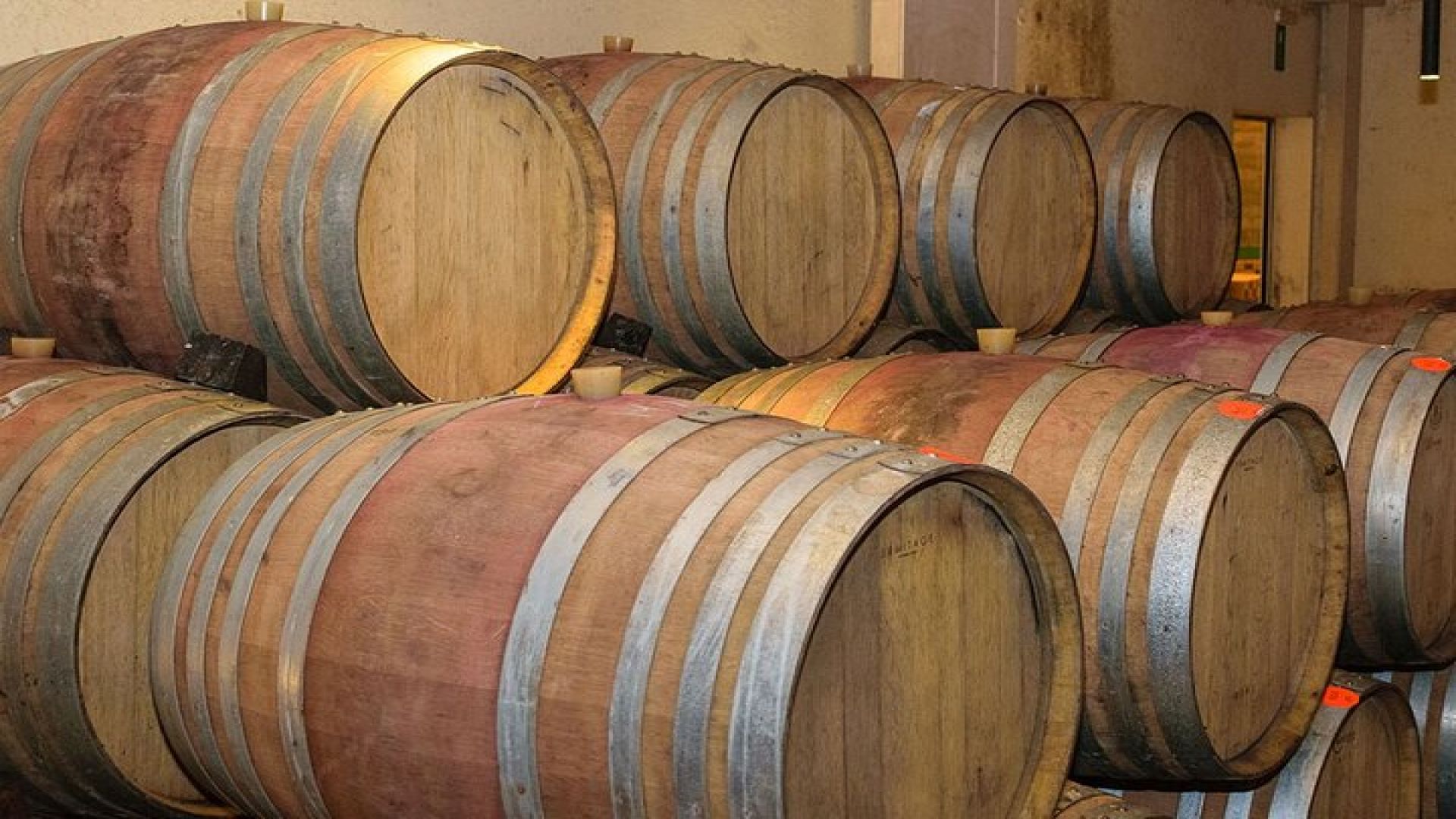 Crete Wine and Olive Oil Tour