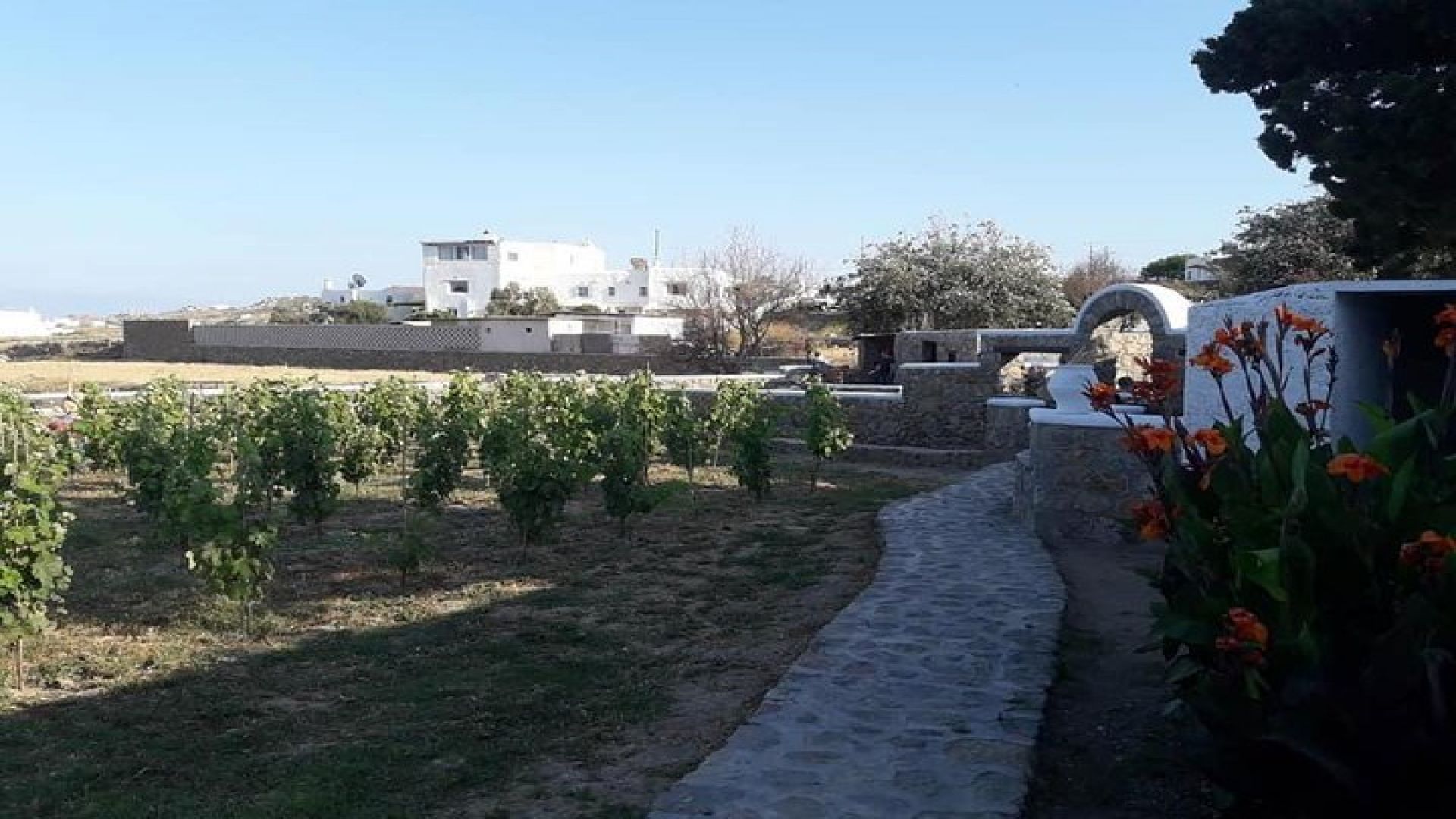 Wine Tasting Tour at a traditional farm in Mykonos
