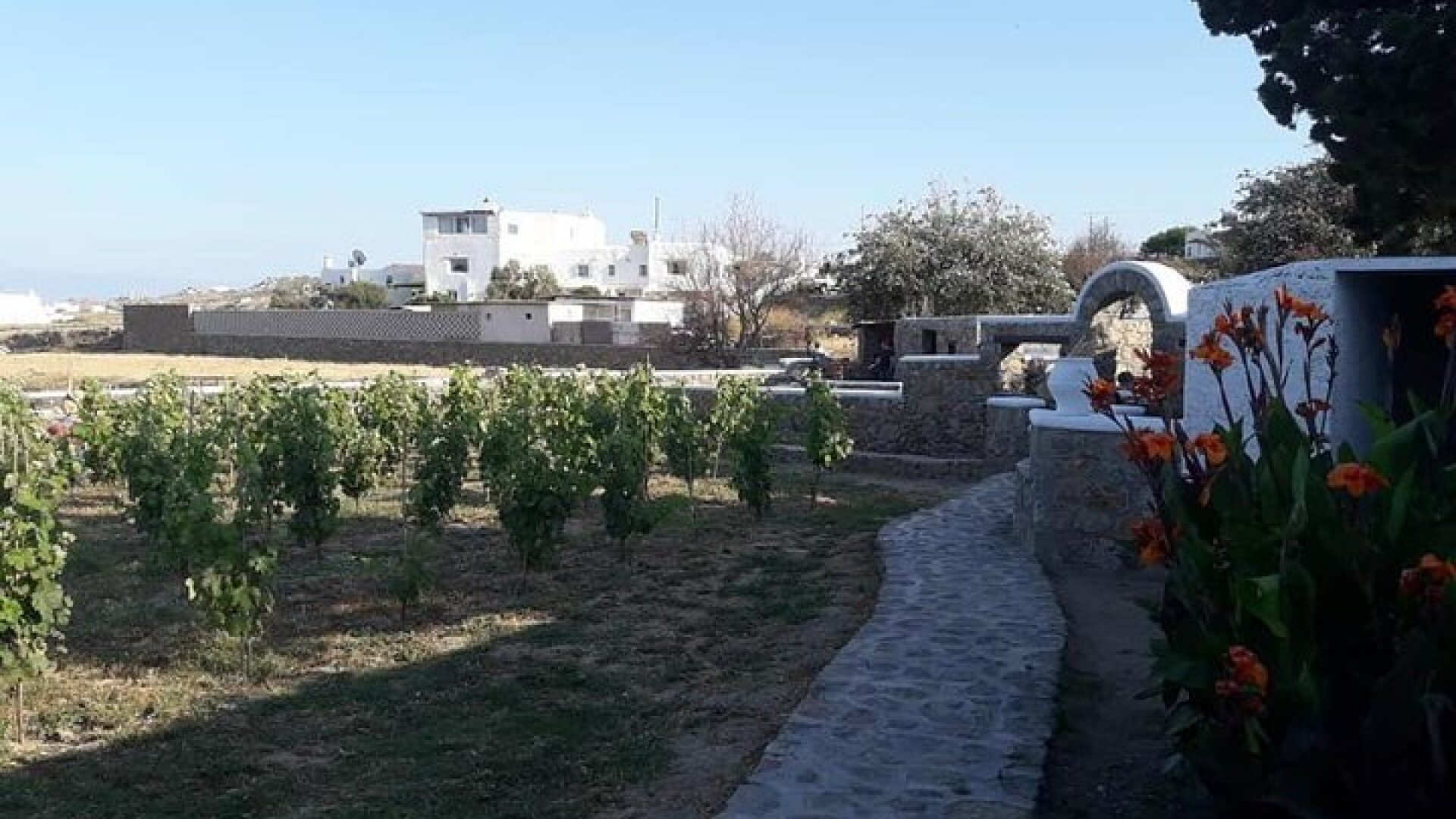 Wine Tasting Tour at a traditional farm in Mykonos
