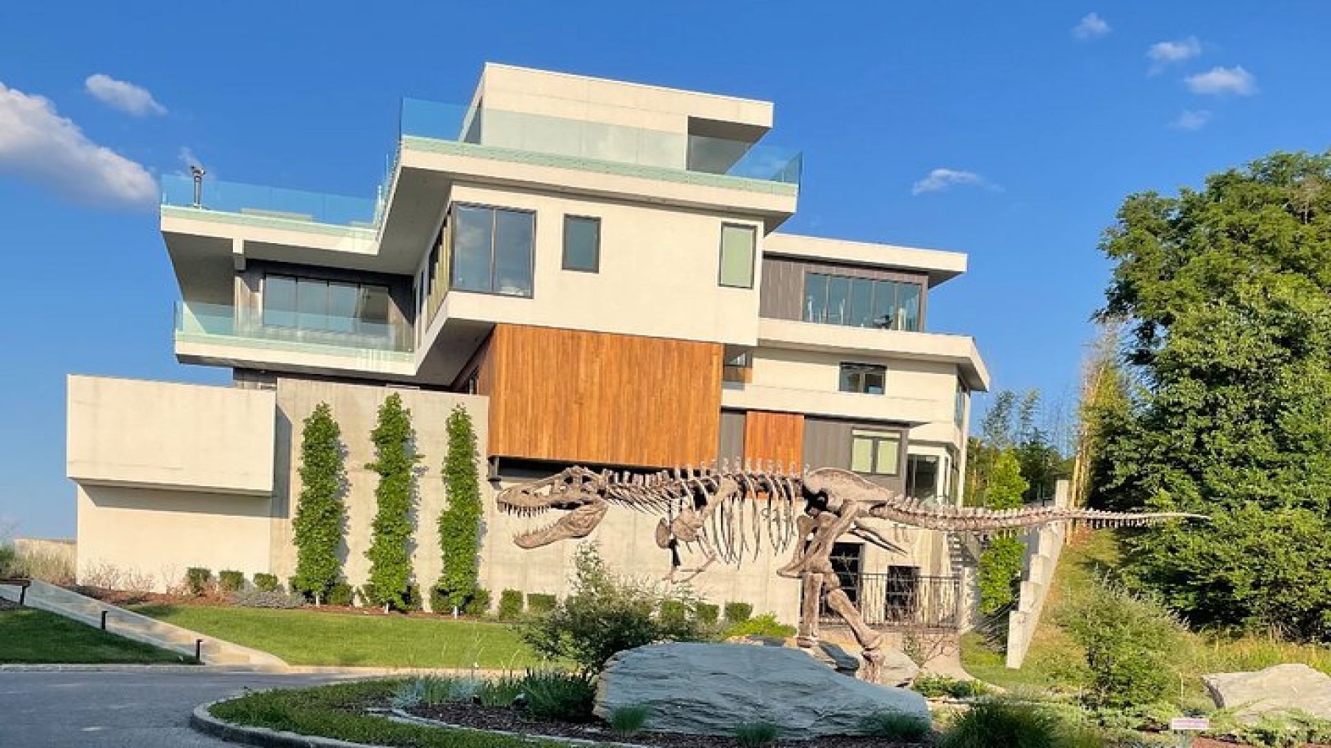 Nashville \"Homes of the Stars\" Helicopter Tour