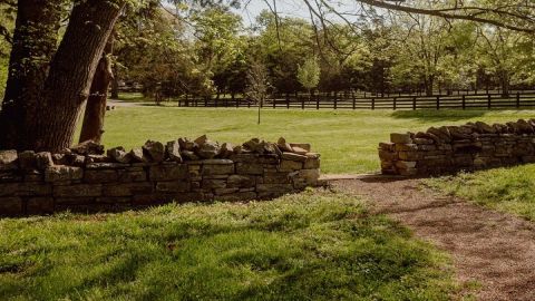Battle at Belle Meade Civil War Tour & Complimentary Wine Tasting