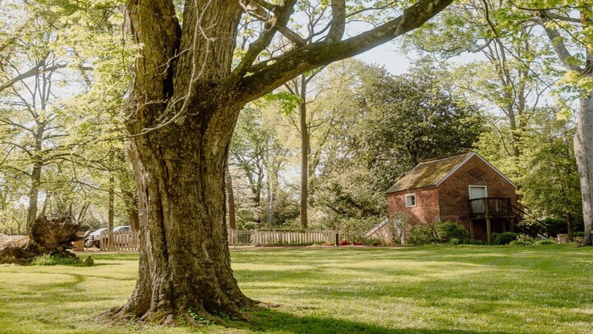Belle Meade Guided Mansion Tour with Complimentary Wine Tasting